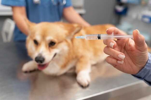 what-can-cause-high-glucose-levels-in-dogs-norparson