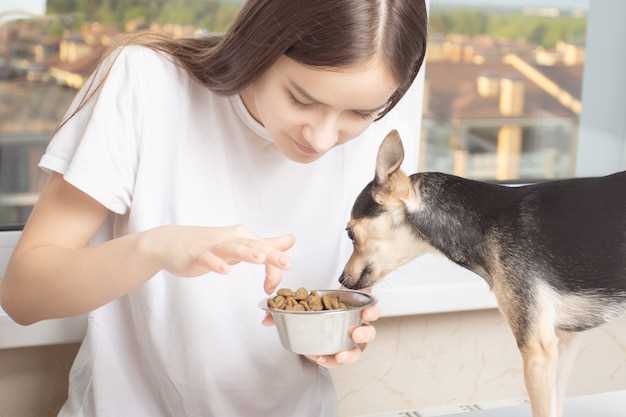 What can i feed my dog if she is allergic to chicken