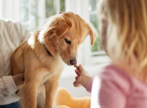 What Does A Mass Feel Like On A Dog