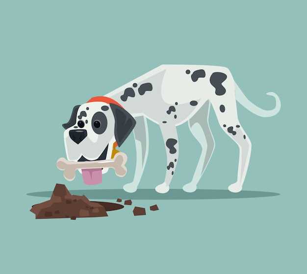 What does dog droppings look like in colitis