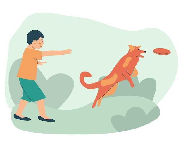 What to do when your dog jumps on you