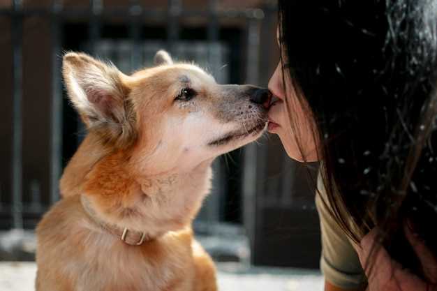 Why do female dogs lick other female dogs