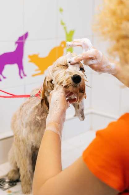 Korrekt påføring av maling på hundens kropp