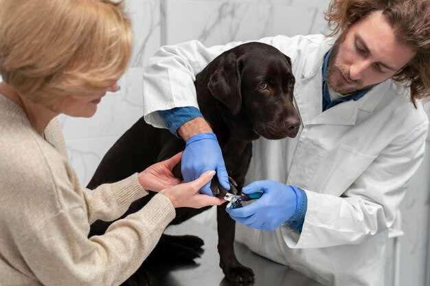 Question can humans get histoplasmosis from dogs