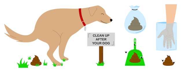 what-causes-a-dog-to-poop-a-lot