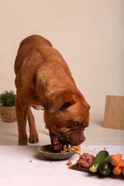 What dog food is comparable to royal canin gastrointestinal