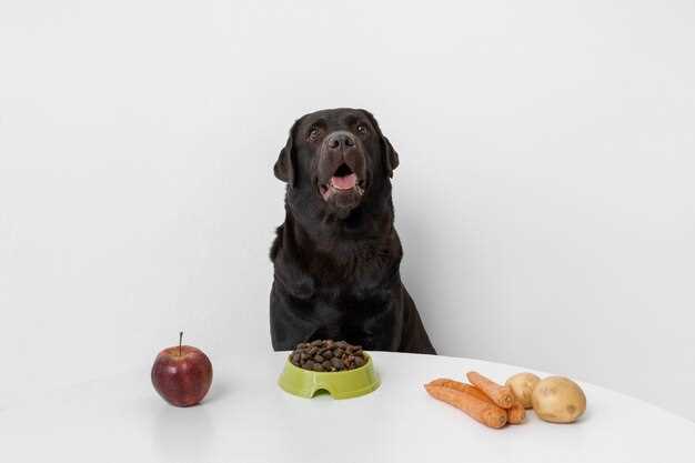 What happens if your dog overeats