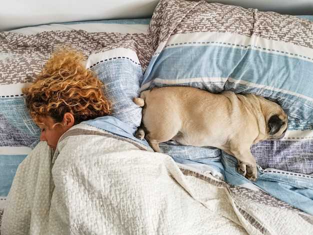 Andre metoder for å vekke en hund