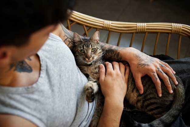 Katter er mer egnet for personer som bor alene