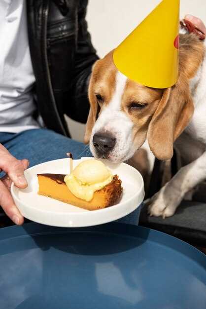 Best answer does pumpkin help colitis in dogs