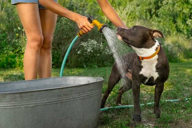 Does pet supplies plus have a dog wash