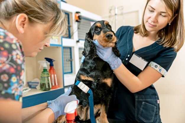 how-much-do-dog-groomers-at-petsmart-make