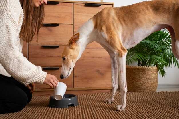 How fast do probiotics work in dogs