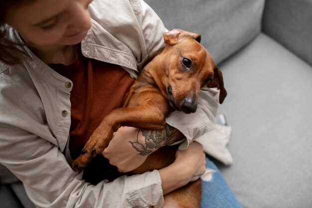 how-long-does-it-take-for-a-dog-to-recover-from-castration