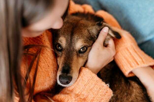 Hvorfor kan fjerning av øye være nødvendig for en hund?