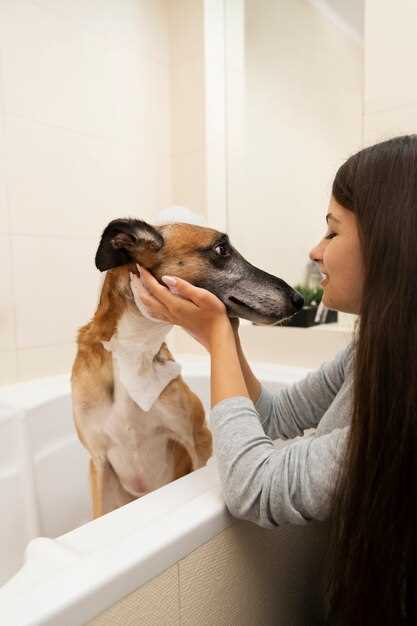 Is it ok to use human shampoo on dogs