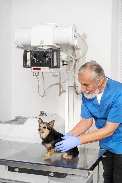Quick answer can a dog have water before an abdominal ultrasound