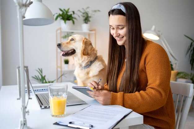 Fordele ved å adoptere en blandingshund