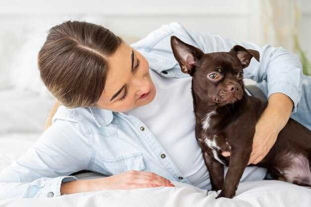 Fordeler og ulemper ved å la hunden sove med deg etter operasjonen