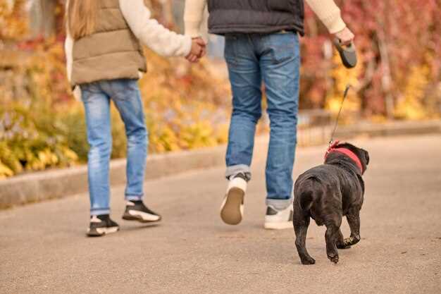 De beste skoene for hundeturer