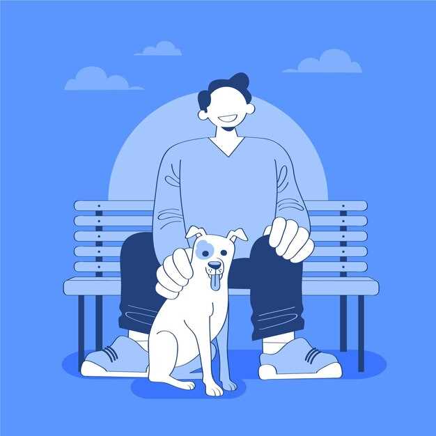 Hvorfor trene greyhound til å sitte