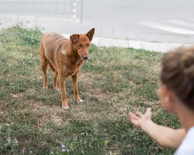 Narkotika