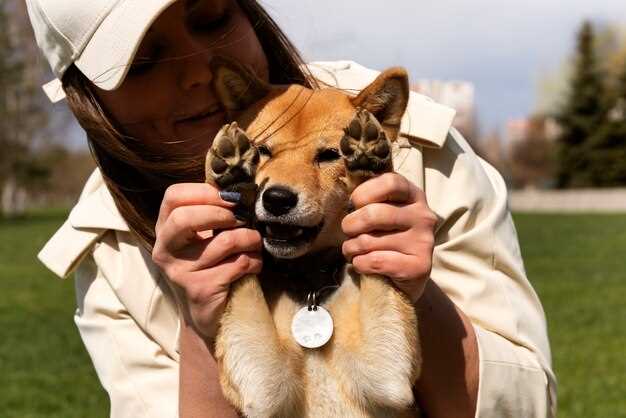 What do bomb sniffing dogs sniff for