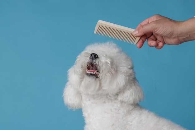 Your question what are dog dental sticks made of