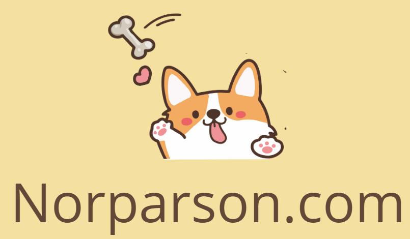 norparson.com