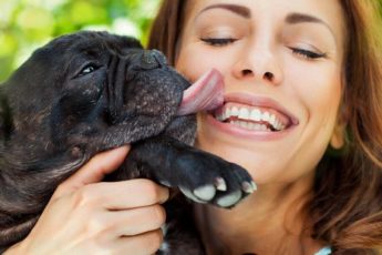 Hvorfor slikker hunder oss i ansiktet?